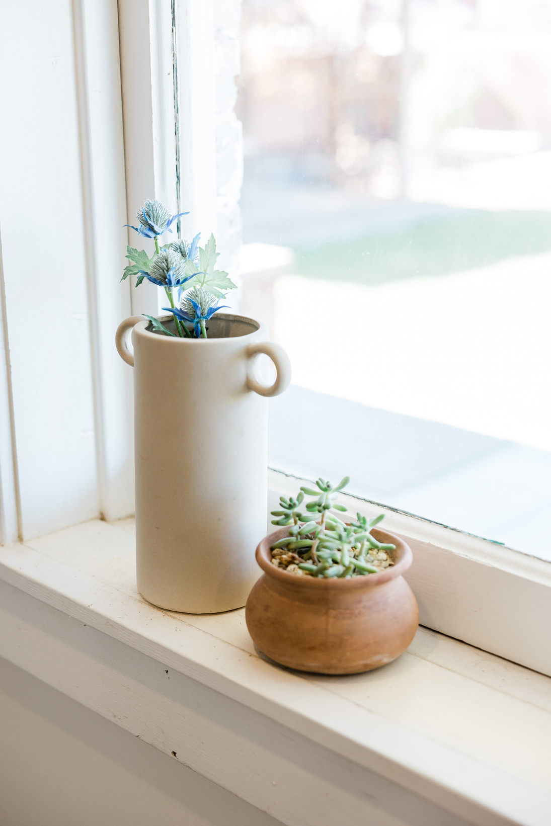 Houseplants by the Window